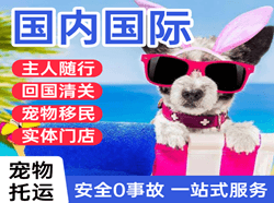 浪头航空邮寄国际宠物托运 【国